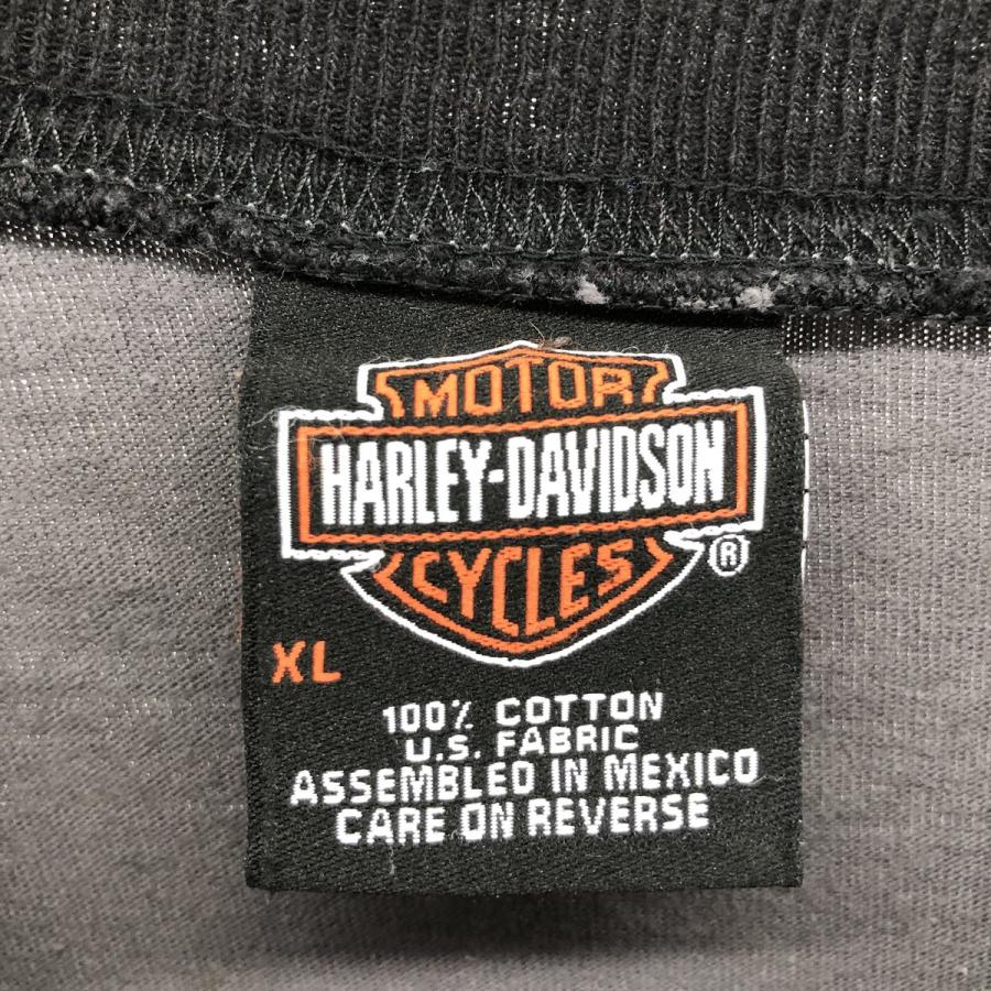 Harley-Davidson ハーレーダビットソン　トライバル　ロンT 古着 00年代 ハーレーダビッドソン Harley-Davidson トライバル