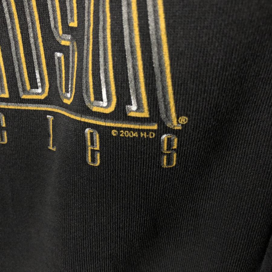 古着 00年代 ハーレーダビッドソン Harley-Davidson ファイヤー
