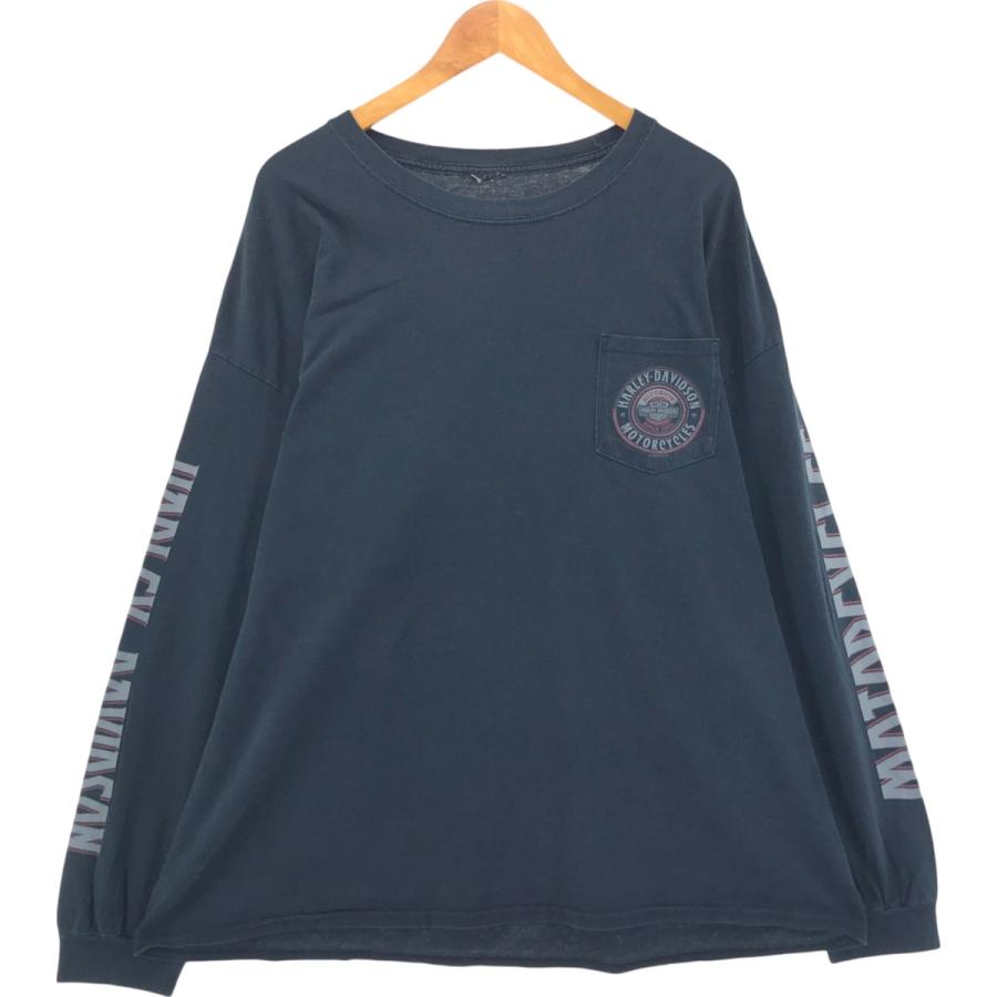 HARLEY DAVIDSON ロンT ハーレーダビッドソン BIGGS L ライジングイーグルロングスリーブTシャツ -ハーレー