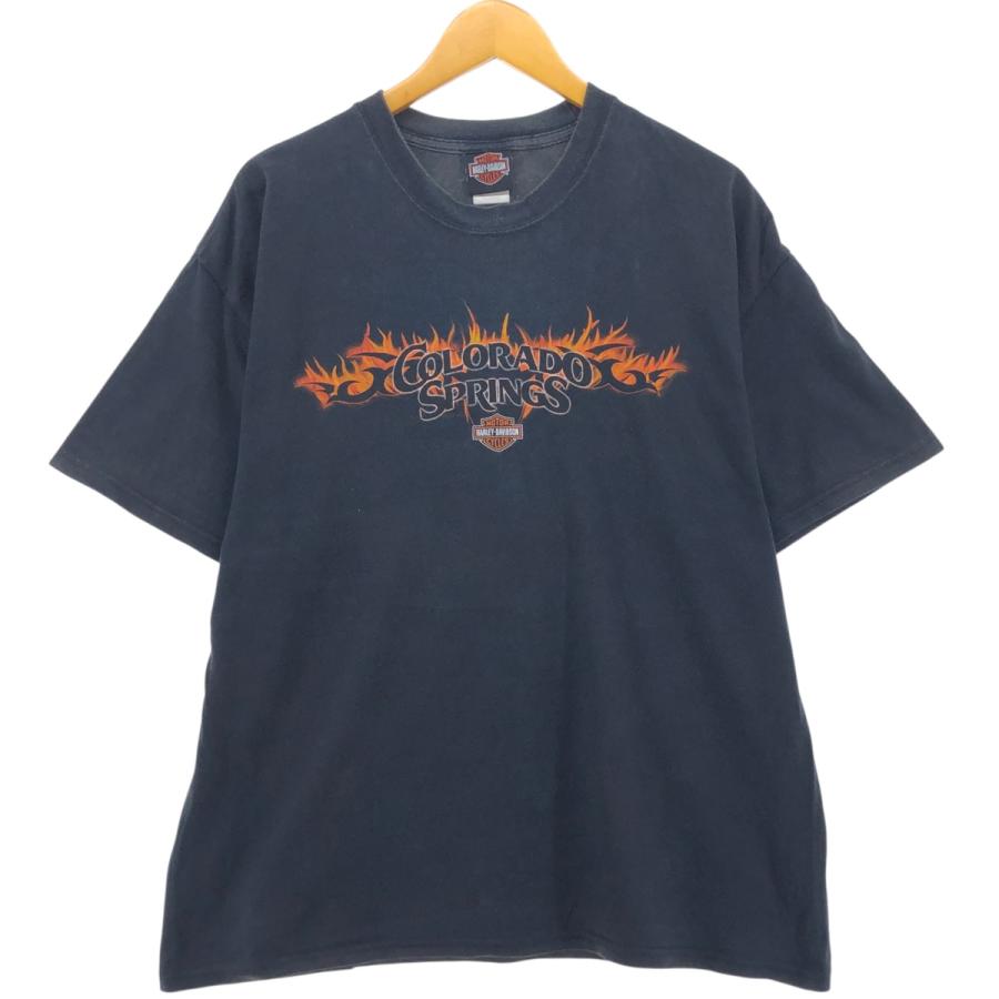 古着 ハーレーダビッドソン Harley-Davidson ファイヤーパターン  