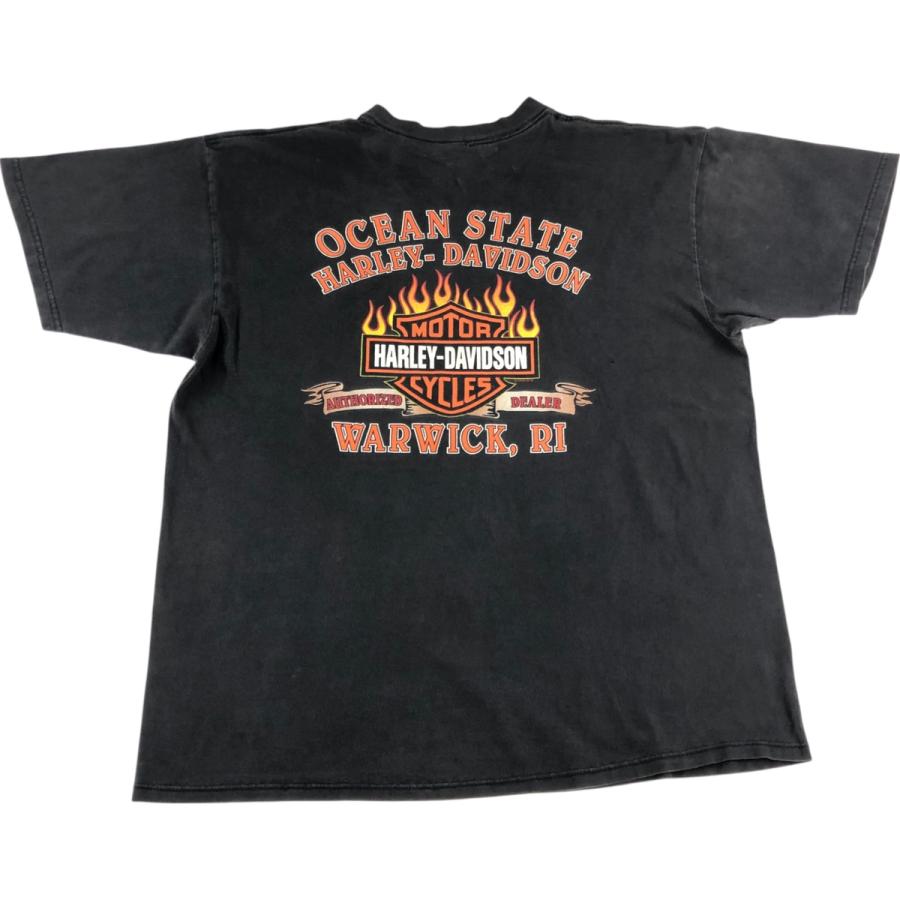 古着 ハーレーダビッドソン Harley-Davidson ファイヤーパターン