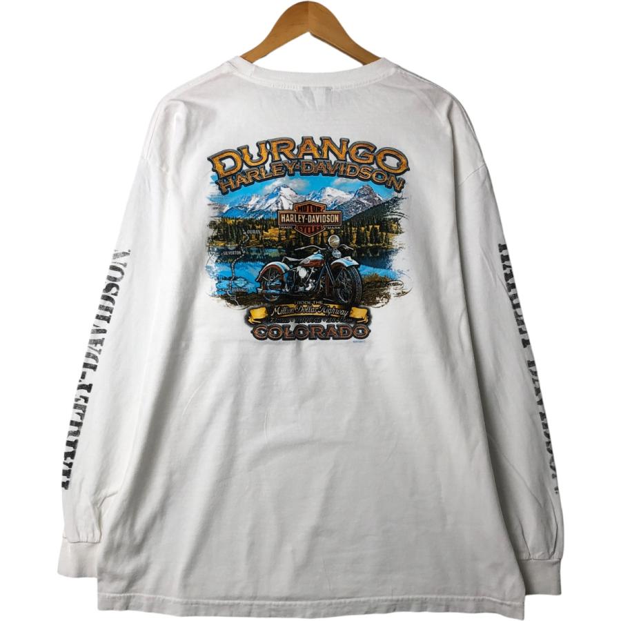 古着 ハーレーダビッドソン Harley-Davidson ロングTシャツ ロン