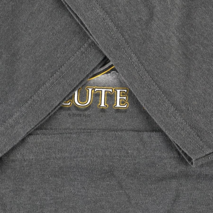 古着 ハーレーダビッドソン Harley-Davidson モーターサイクル バイクT  