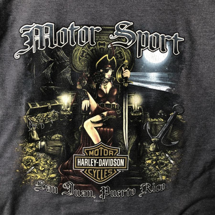 Harley Davidson - 古着 ハーレーダビッドソン Harley-Davidson ロングTシャツ ロンT レディースL相当 /eaa498853 古着 ハーレーダビッドソン Harley-Davidson ロングTシャツ ロン