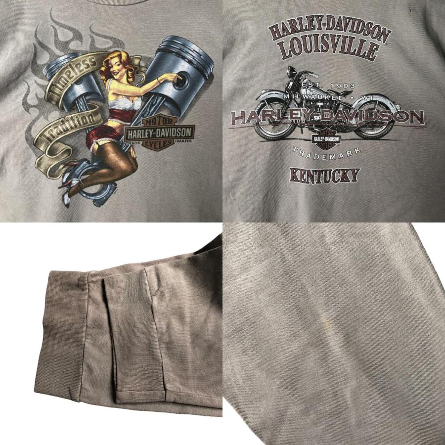 古着 00年代 ハーレーダビッドソン Harley-Davidson ピンナップ
