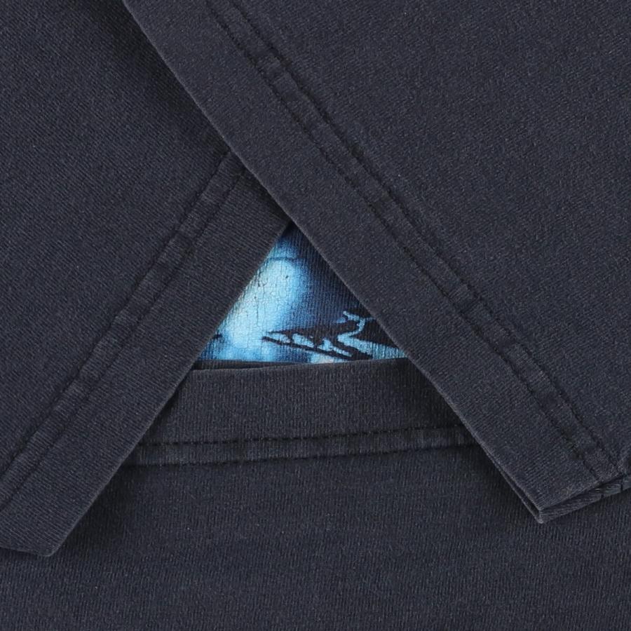 古着 00年代 ALSTYLE PANTERA パンテラ バンドTシャツ バンT メンズL