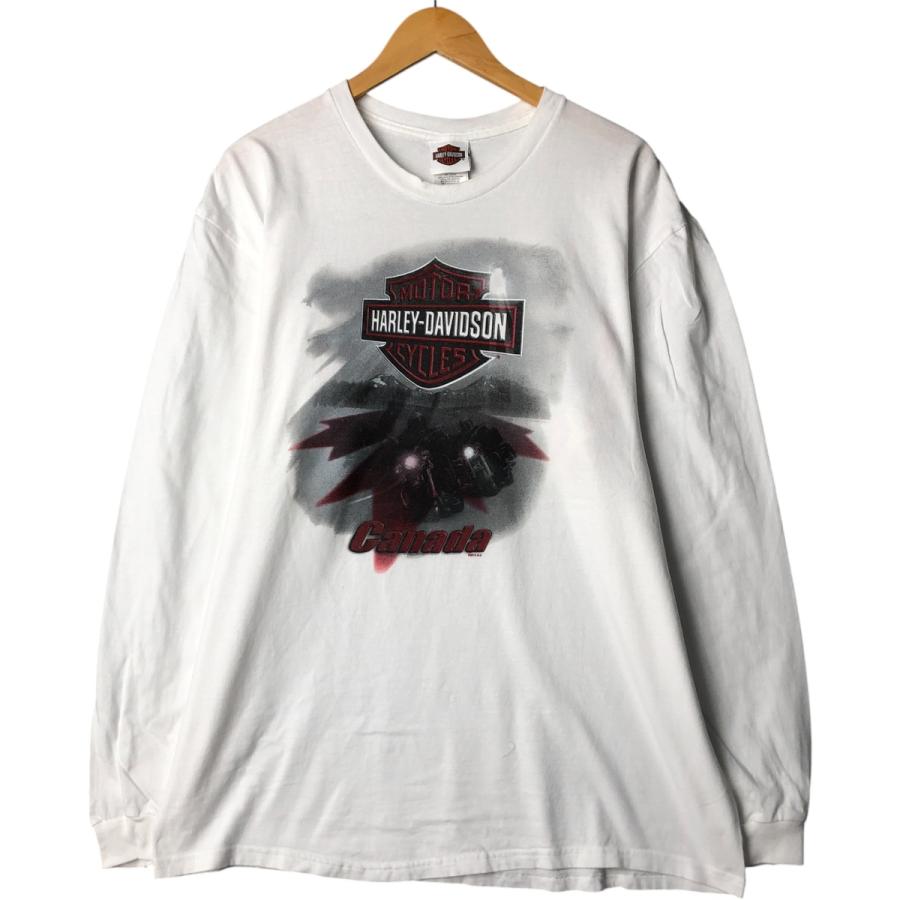 Harley-Davidson ファイヤー フレイム ロングTシャツ 古着 古着 ハーレーダビッドソン Harley-Davidson ファイヤーパターン