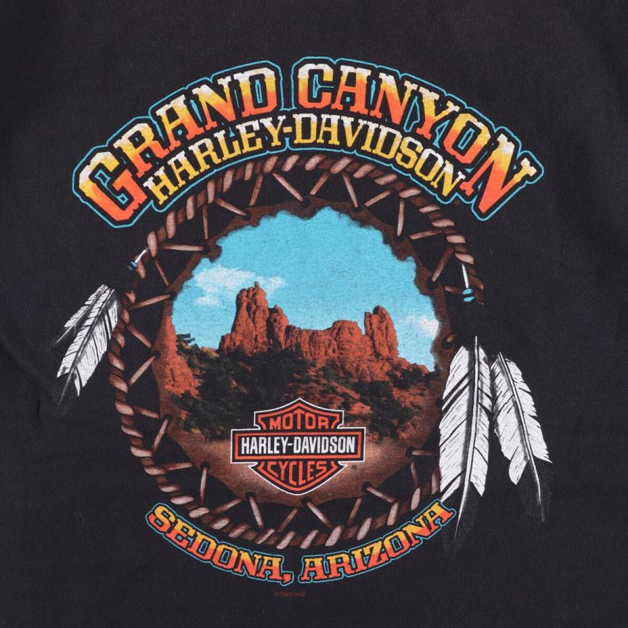 古着 00年代 ハーレーダビッドソン Harley-Davidson モーターサイクル バイクTシャツ USA製 レディースS相当 /eaa565096 古着 00年代 ハーレーダビッドソン Harley-Davidson モーターサイクル