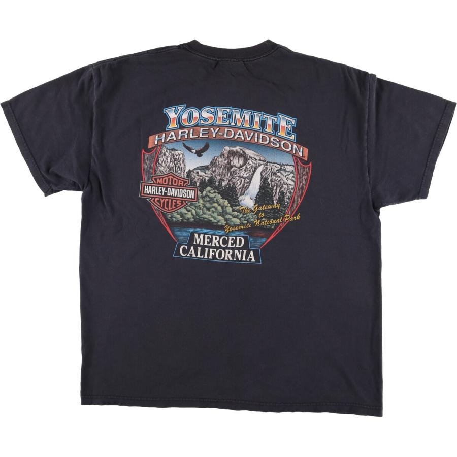 古着 00年代 Harley-Davidson 鷲柄 イーグル柄 ファイヤーパターン  