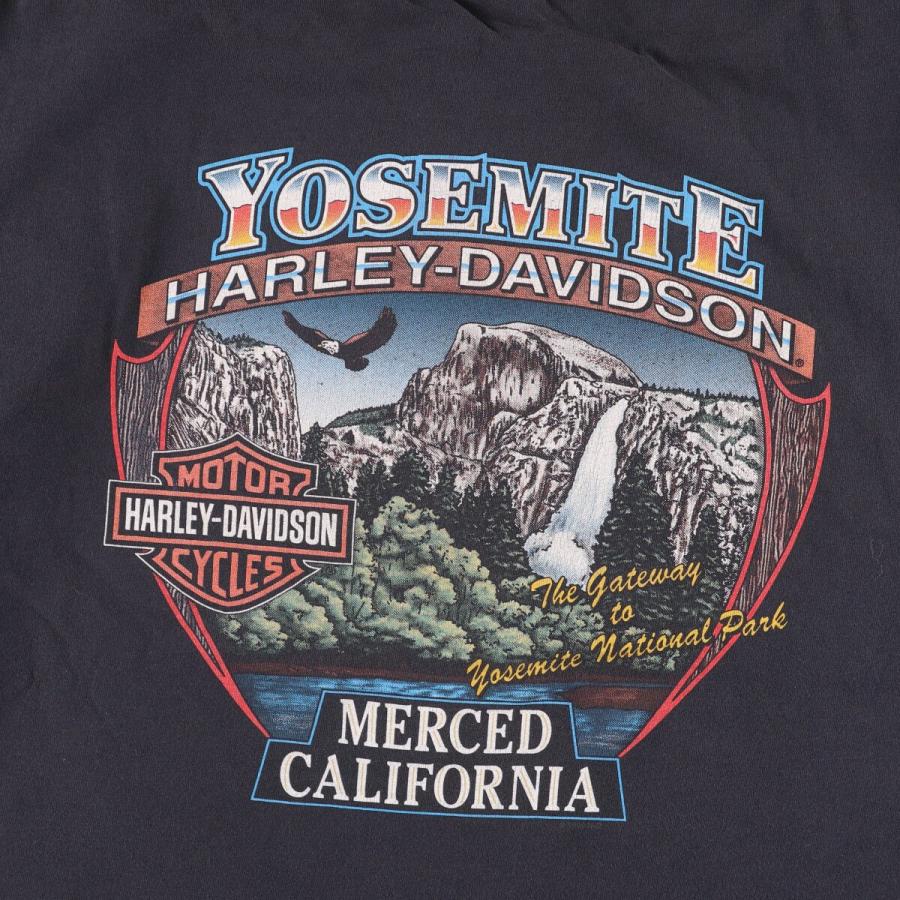 古着 00年代 Harley-Davidson 鷲柄 イーグル柄 ファイヤーパターン  