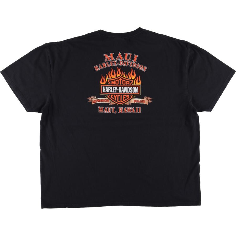 00年代 ハーレーダビッドソン 古着 Tシャツ イーグル柄 XL 古着 ハーレーダビッドソン Harley-Davidson 鷲柄 イーグル柄