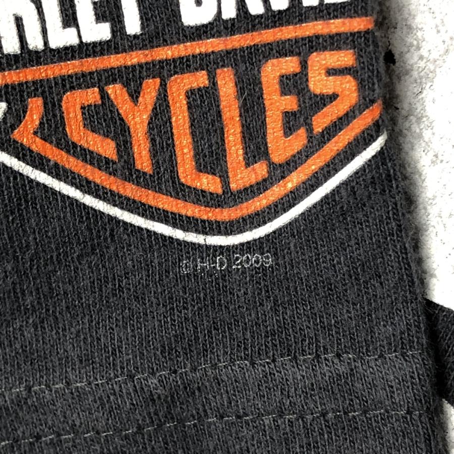 古着 00年代 ハーレーダビッドソン Harley-Davidson エンジン ロングT  