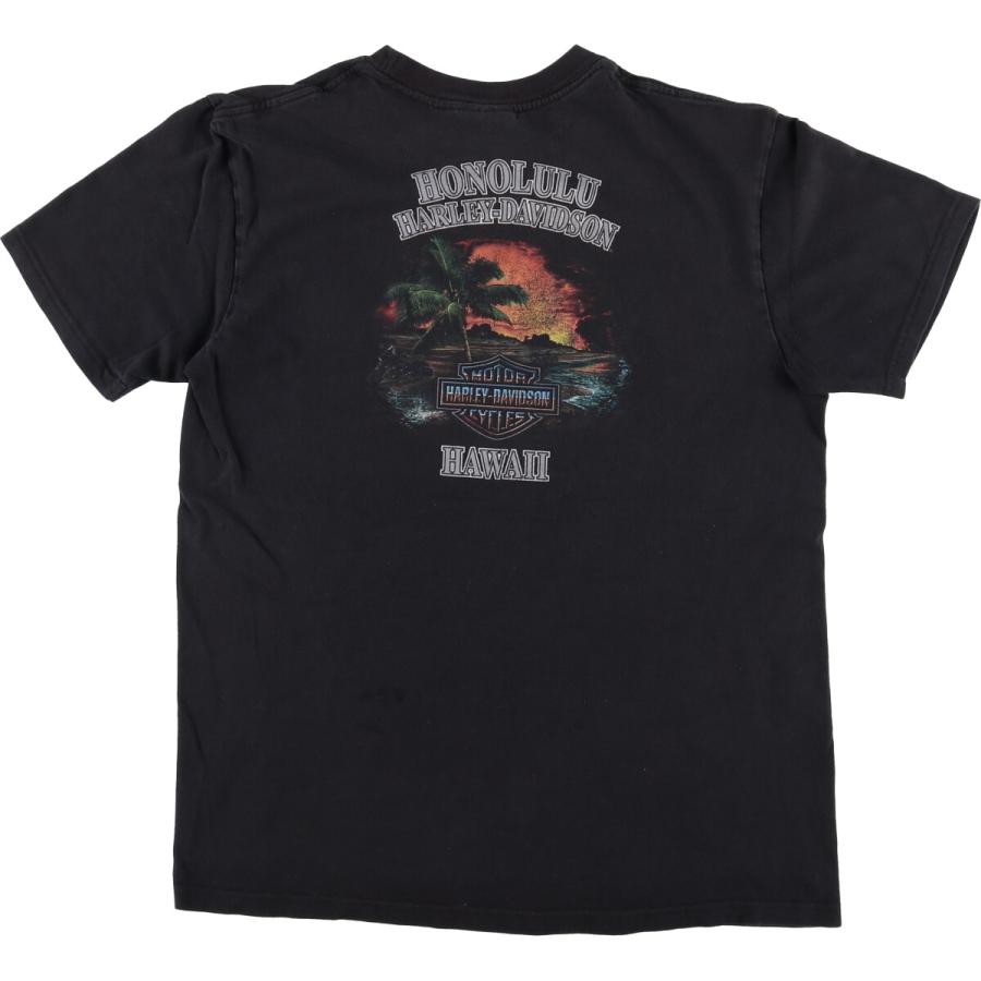 ハーレーダビッドソン ロンT Tシャツ 00s プリント 鷲 紺 L 11631 ハーレーダビッドソン ロンT Tシャツ 00s プリント 鷲 紺 L 11631