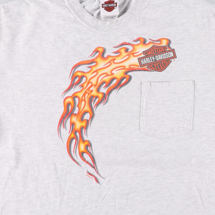 古着 ハーレーダビッドソン Harley-Davidson モーターサイクル バイクT  