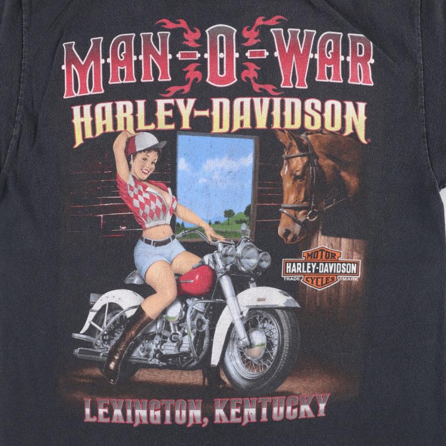Harley-Davidsonピンナップガールファイヤーパターン Tシャツ 古着 ハーレーダビッドソン ピンナップガール ファイヤーパターン