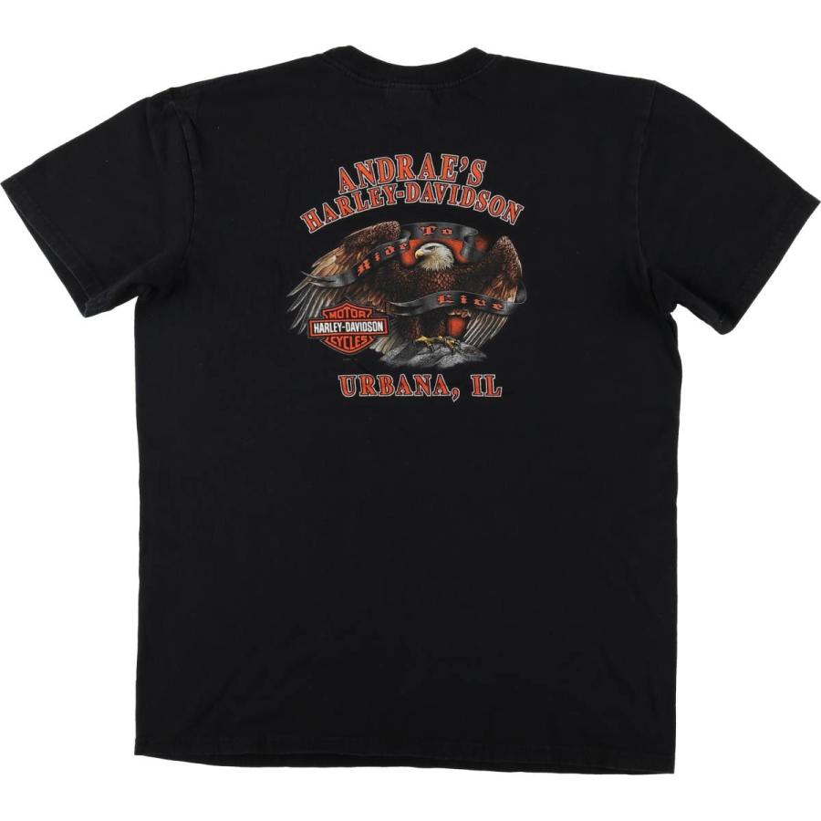 古着 00年代 ハーレーダビッドソン 鷲柄 イーグル柄 ファイヤー  