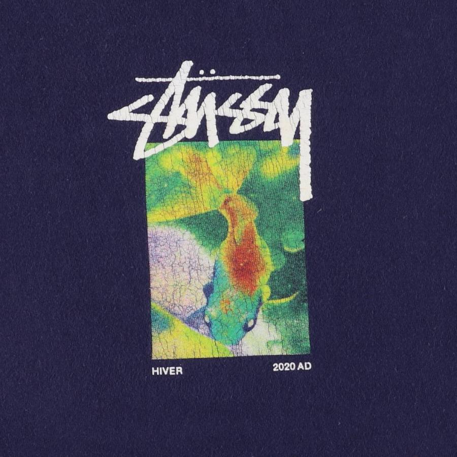 STUSSY（ステューシー） 古着 サーフ スケートTシャツ メンズL相当