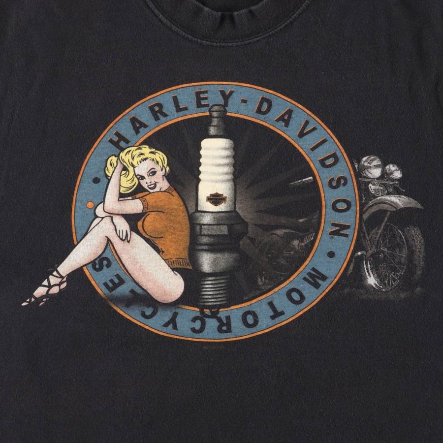 古着 00年代 ハーレーダビッドソン Harley-Davidson ピンナップ