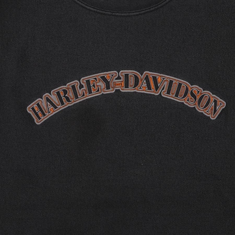 古着 ~00年代 ハーレーダビッドソン Harley-Davidson ラメ アドバタイジング スウェットシャツ トレーナー メンズXL相当 /eaa580558 古着 ~00年代 ハーレーダビッドソン Harley-Davidson ラメ