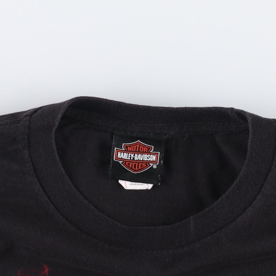 USA製 05 ハーレーダビッドソン スカル ファイヤーパターン ロンT USA製 05 ハーレーダビッドソン スカル ファイヤーパターン ロン