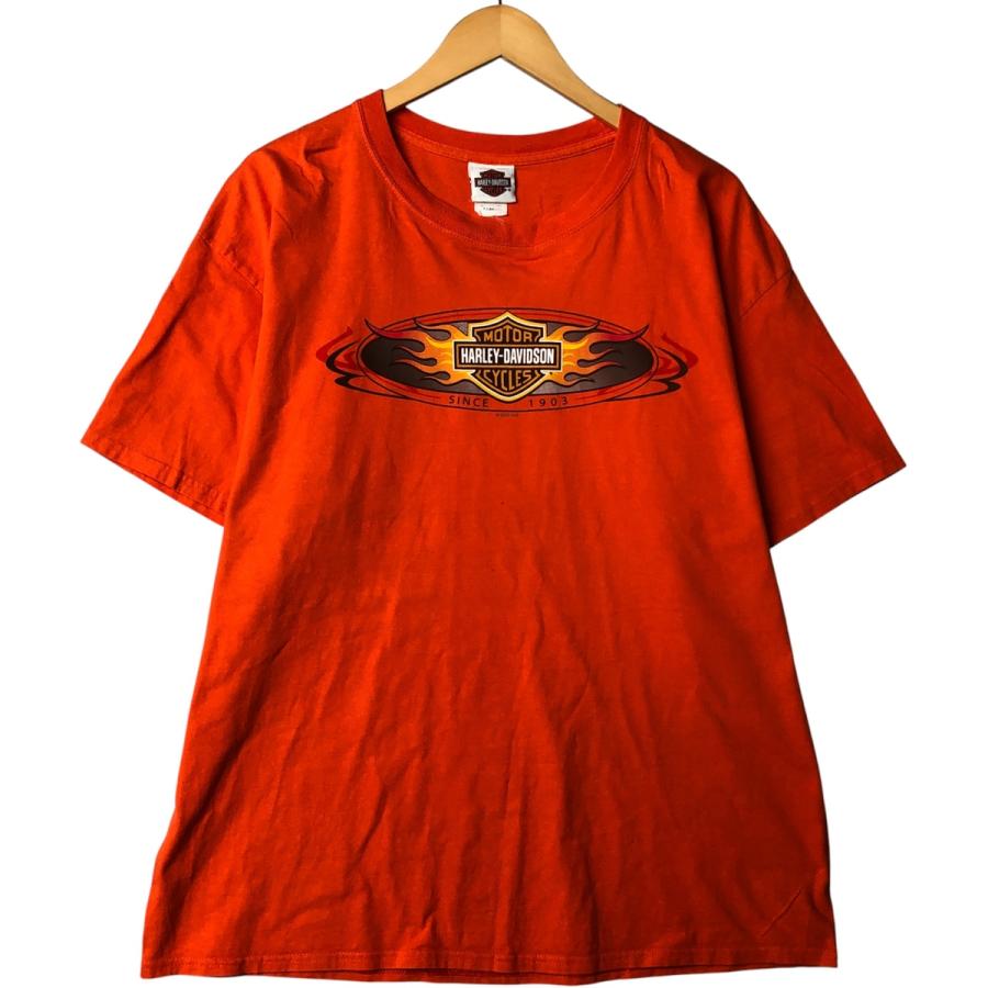 HARLEY DAVIDSONファイヤーパターン L/S フェードTシャツ XL HARLEY DAVIDSONファイヤーパターン L/S フェードTシャツ XL