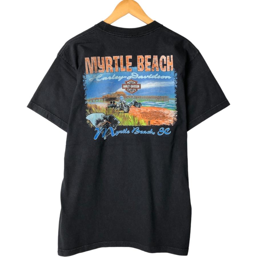 00s Harley-Davidson Vintage Tシャツ il_fullxfull.2517249941_qc5y.jpg