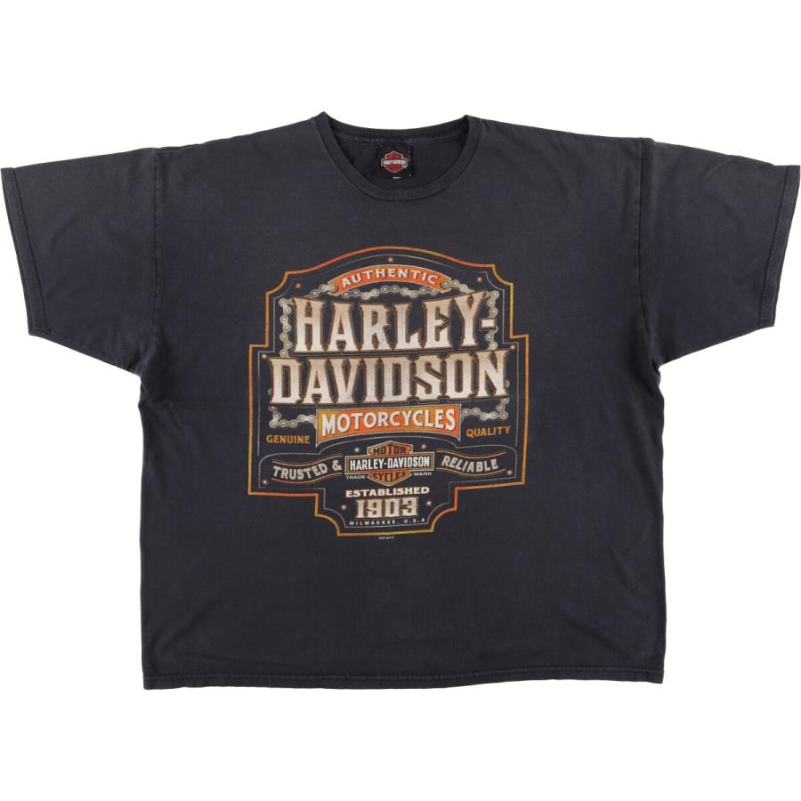 HARLEY DAVIDSON ファイヤーパターン 古着 古着 ハーレーダビッドソン Harley-Davidson ファイヤーパターン