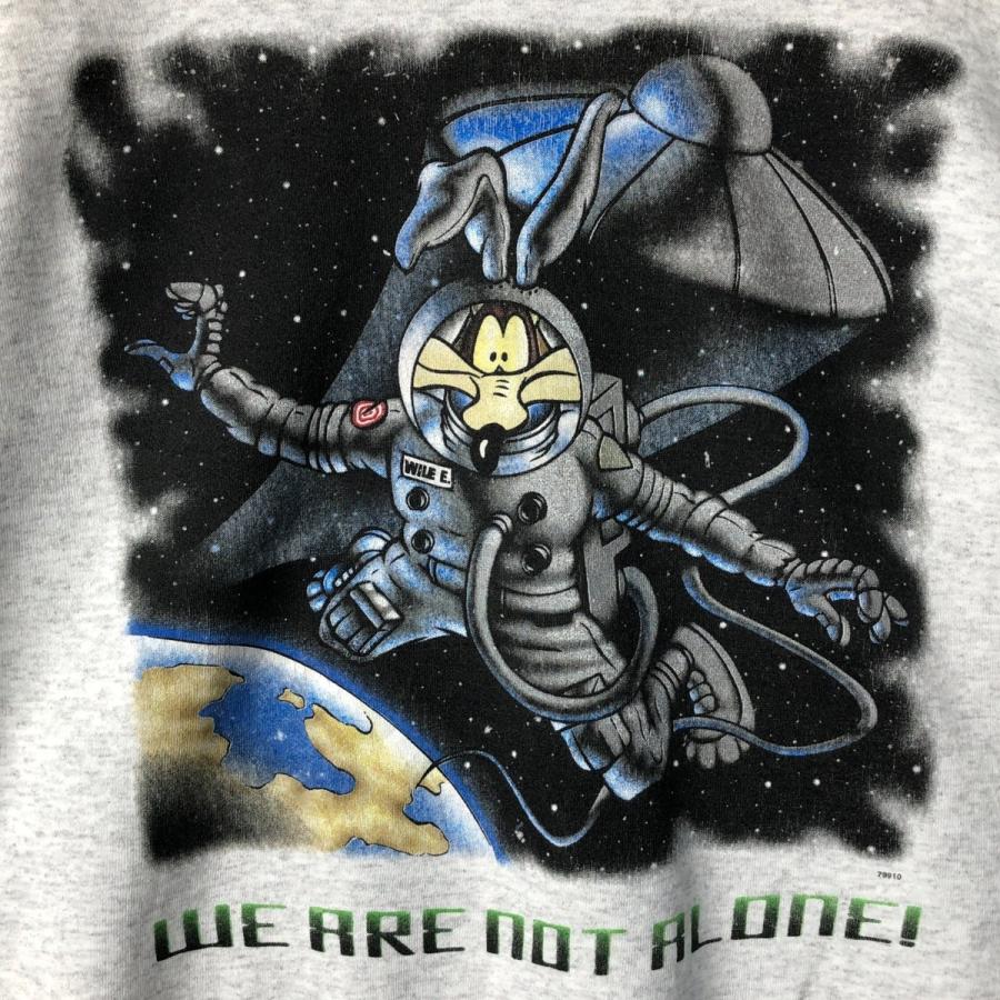 ルーニー・テューンズ ワイリーコヨーテ 超希少 希少 ルーニー