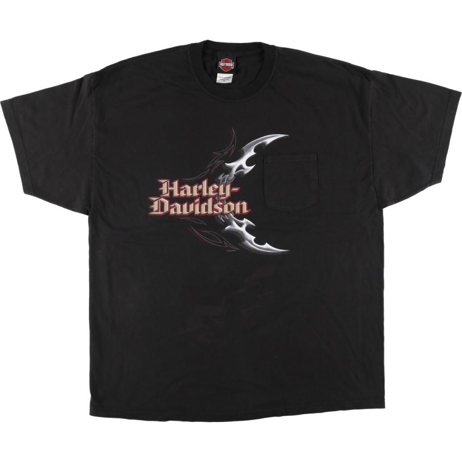 極上美品 90s USA製 ハーレーダビッドソン Tシャツ Hanes XL 鷲 極上美品 90s USA製 ハーレーダビッドソン Tシャツ Hanes XL 鷲 極上美
