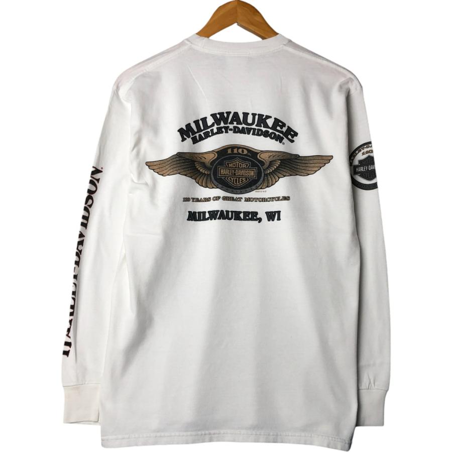 古着 ハーレーダビッドソン Harley-Davidson ロングTシャツ ロンT