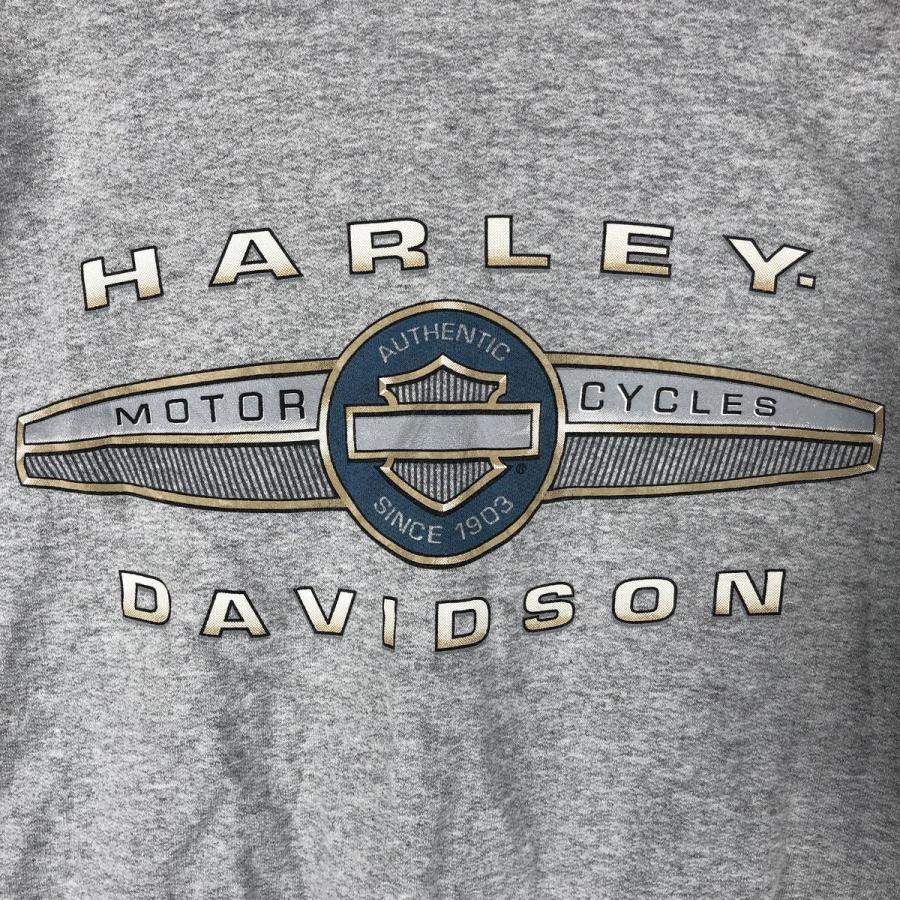 Hanes（ヘインズ） 古着 Hanes Harley-Davidson ハーレーダビッドソン