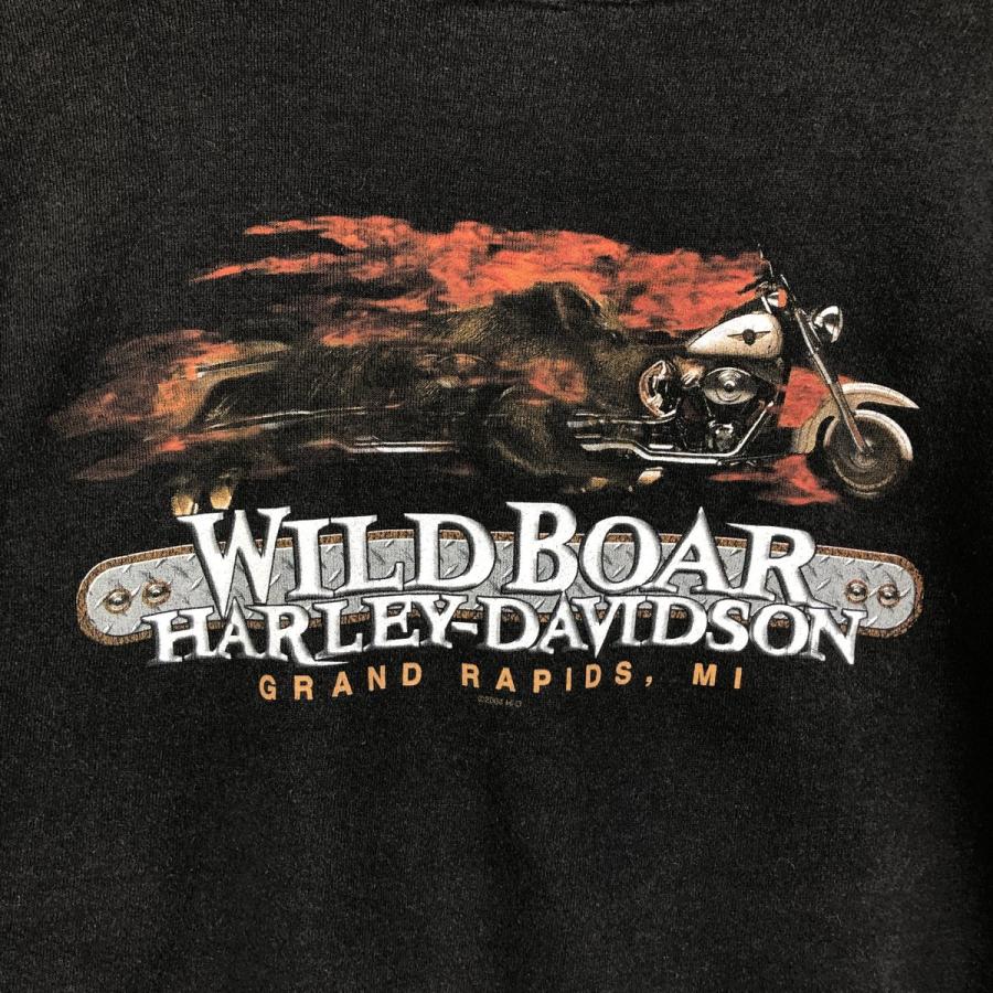 古着 00年代 ハーレーダビッドソン Harley-Davidson ファイヤー