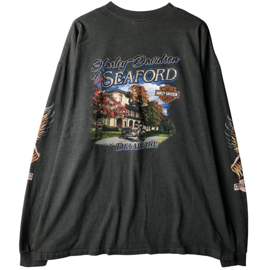 HARLEY DAVIDSON ロンT ハーレーダビッドソン BIGGS L ロンT Harley Davidson (ハーレーダビッドソン) Lサイズ相当 HARLEY