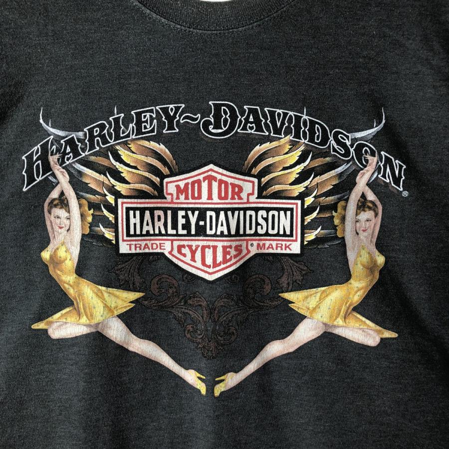 古着 00年代 ビッグサイズ ハーレーダビッドソン Harley-Davidson