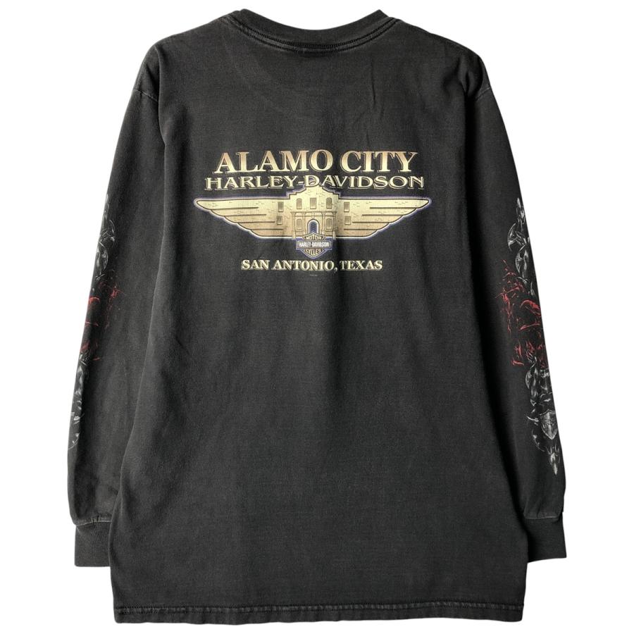 古着 00年代 ハーレーダビッドソン Harley-Davidson ファイヤー