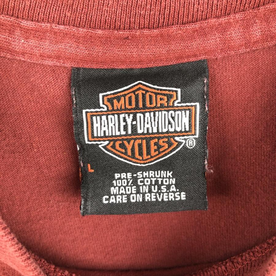 古着 ハーレーダビッドソン Harley-Davidson ロングTシャツ ロンT USA