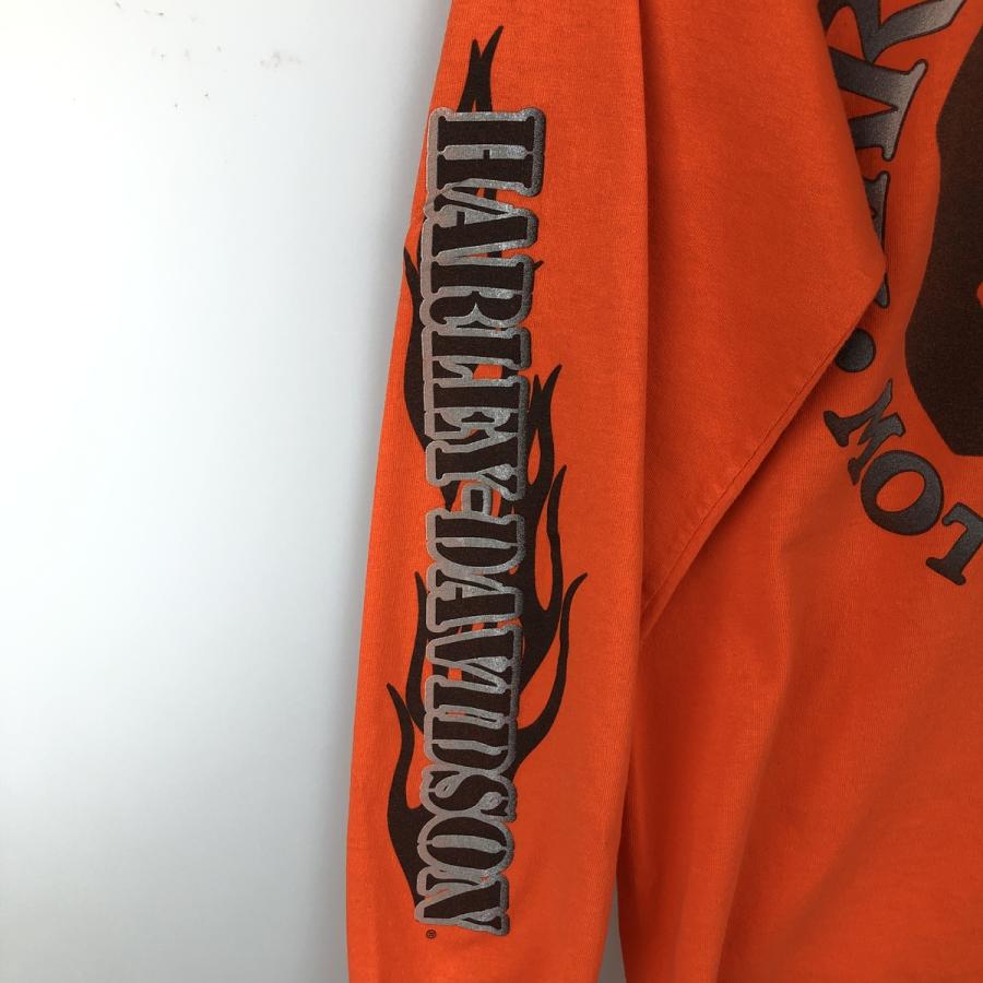 00s Harley-Davidson ハーレーダビッドソン スカルウィング　L 古着 ハーレーダビッドソン ドクロ柄 スカル柄 ファイヤーパターン