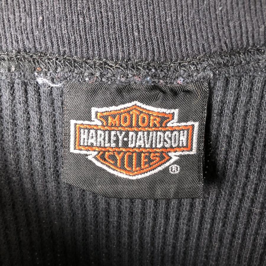 HARLEY DAVIDSON ロンT ハーレーダビッドソン ARIZONA 古着 HARLEY DAVIDSON バー&シールド 星条旗 「ARIZONA」 グラフィック