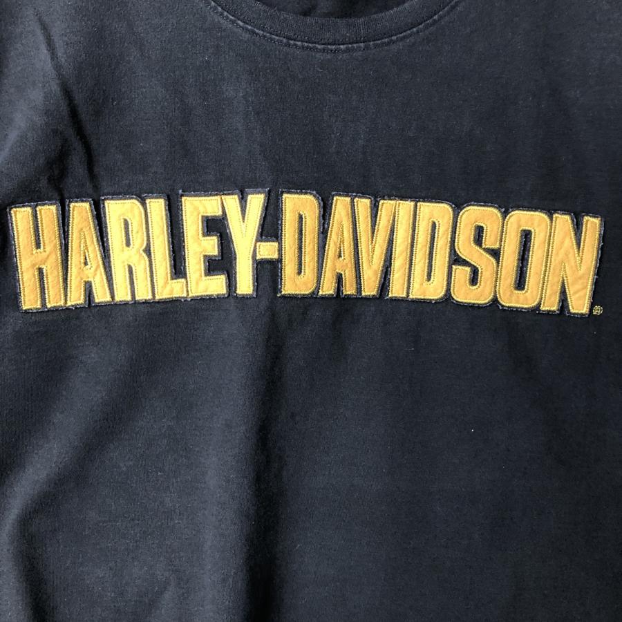 古着 ハーレーダビッドソン Harley-Davidson ロングTシャツ ロンT
