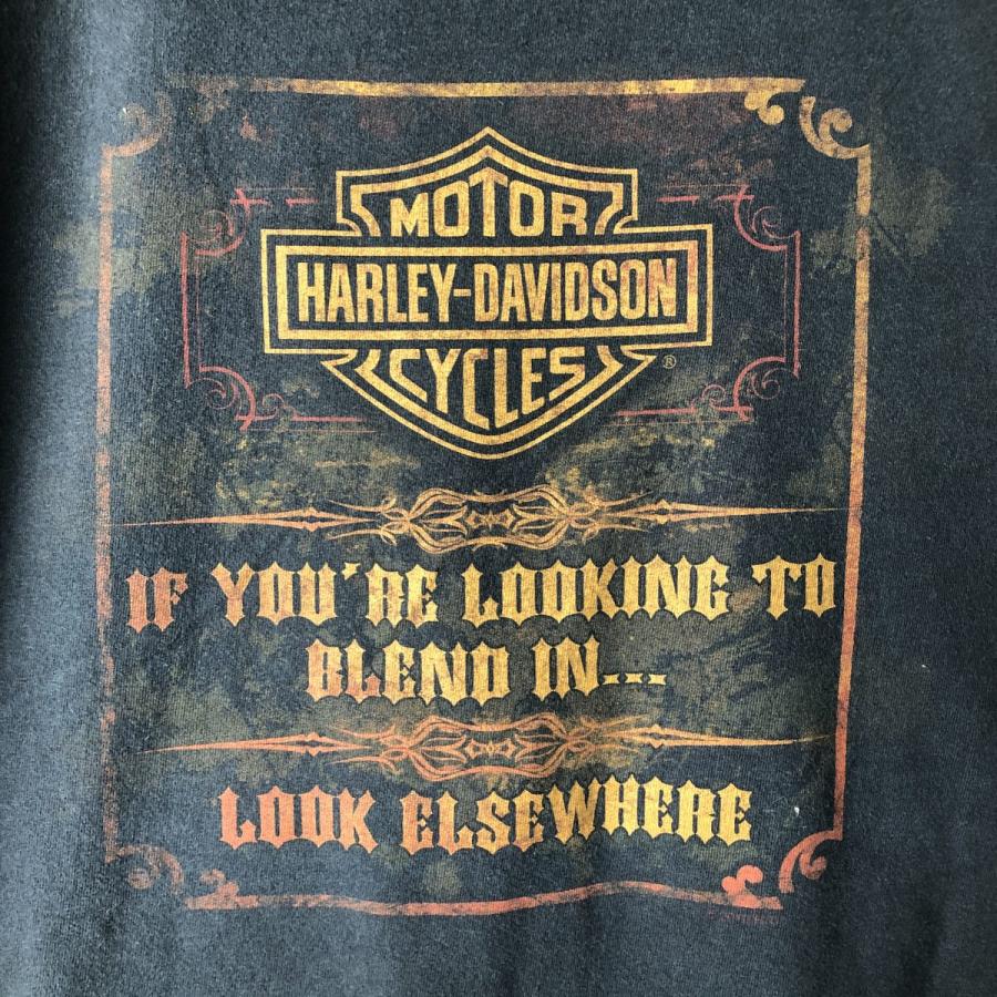 古着 ハーレーダビッドソン Harley-Davidson モーターサイクル バイクT