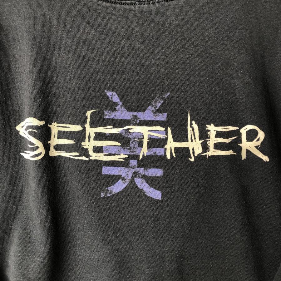古着 00年代 DELTA PRO WEIGHT SEETHER シーザー バンドTシャツ バンT