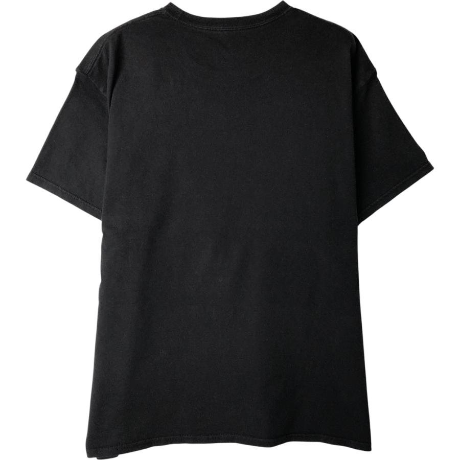 Hanes（ヘインズ） 古着 00年代 Hanes HEAVYWEIGHT RED HOT CHILI 