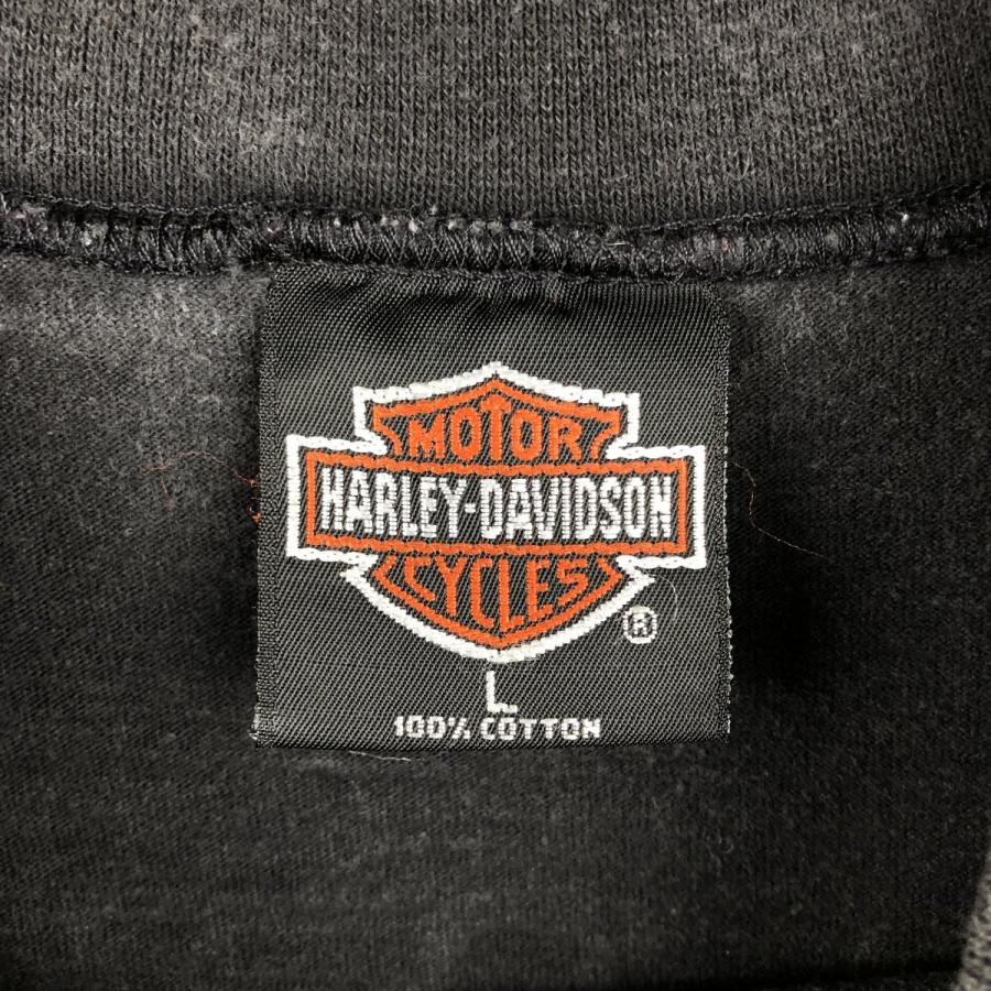 古着 90年代 ハーレーダビッドソン Harley-Davidson 鷲柄 イーグル柄 サンダー モックネック モーターサイクル ロングTシャツ ロンT USA製 レディースL相当 ヴィンテージ/eaa615050 古着 90年代 ハーレーダビッドソン 鷲柄 イーグル柄 サンダー モック