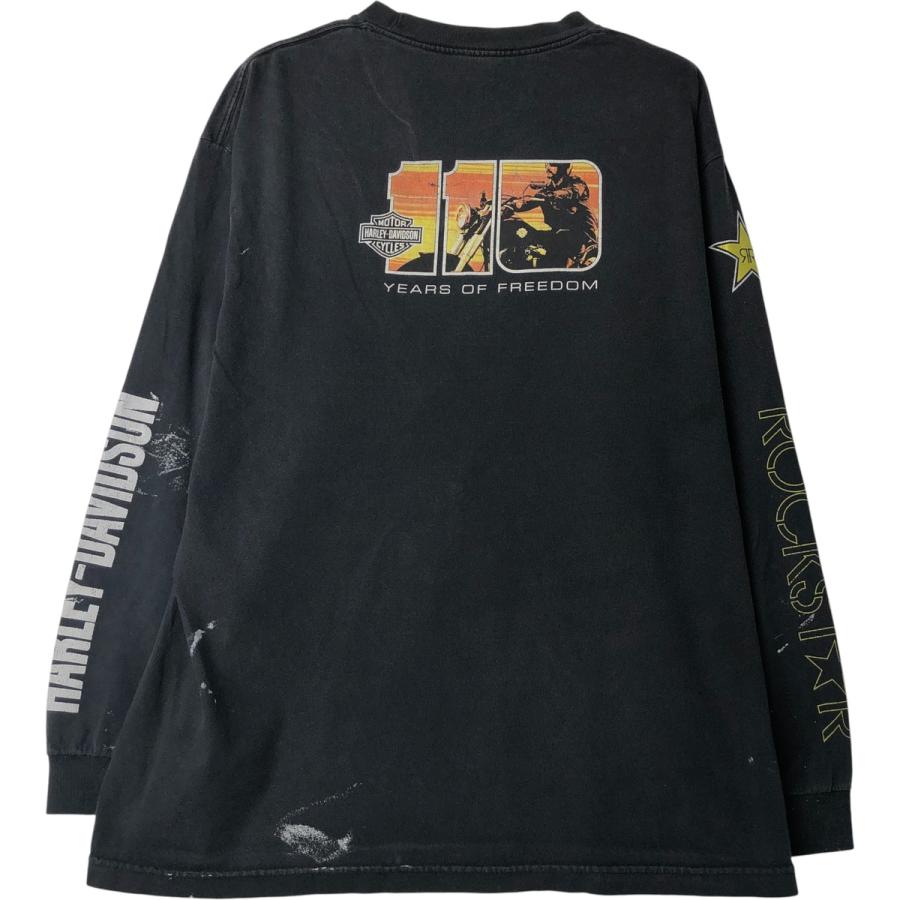 古着Harley-DavidsonロンT ハーレーダビッドソンTシャツ　00s 古着 ハーレーダビッドソン Harley-Davidson ロングTシャツ ロンT