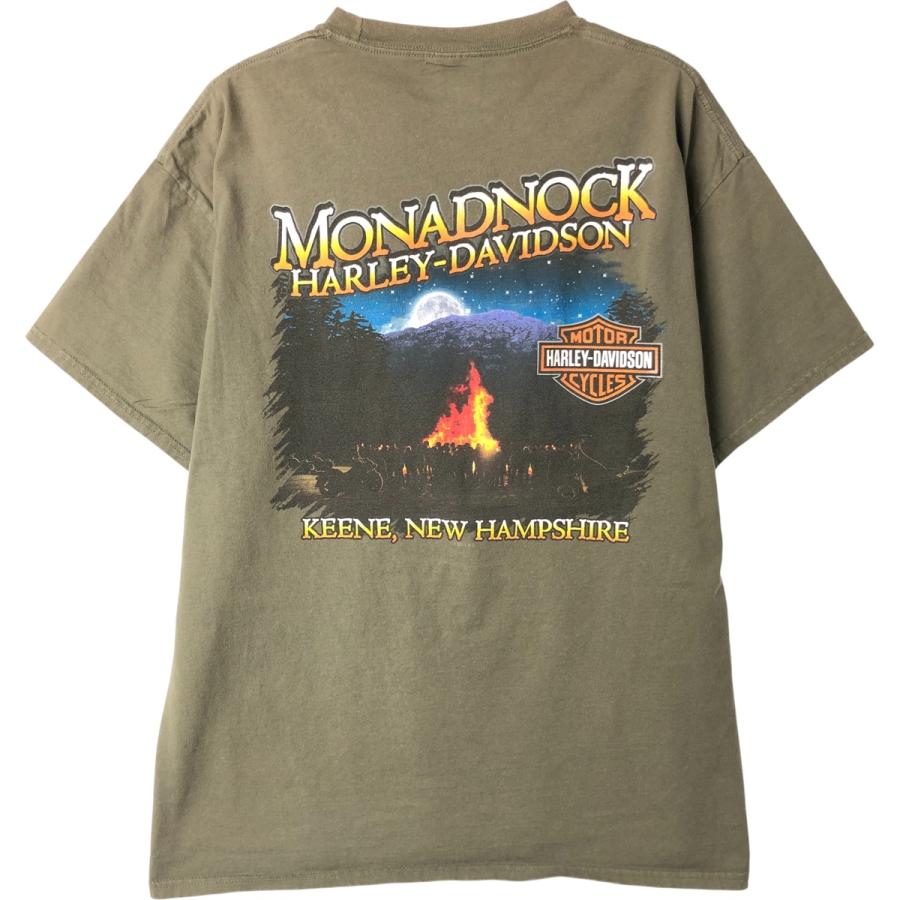 古着 ハーレーダビッドソン Harley-Davidson ファイヤーパターン