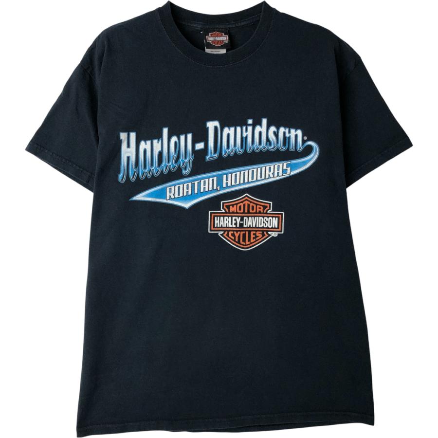 古着 ハーレーダビッドソン Harley-Davidson ピンナップガール