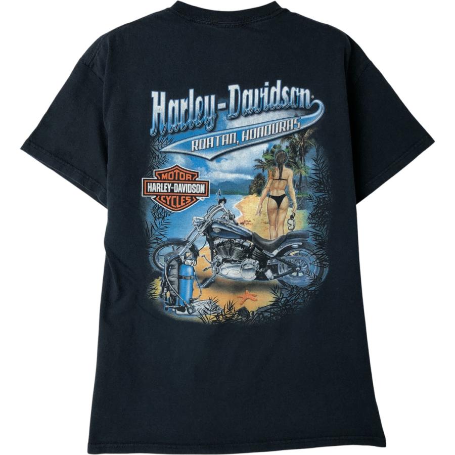 古着 ハーレーダビッドソン Harley-Davidson ピンナップガール