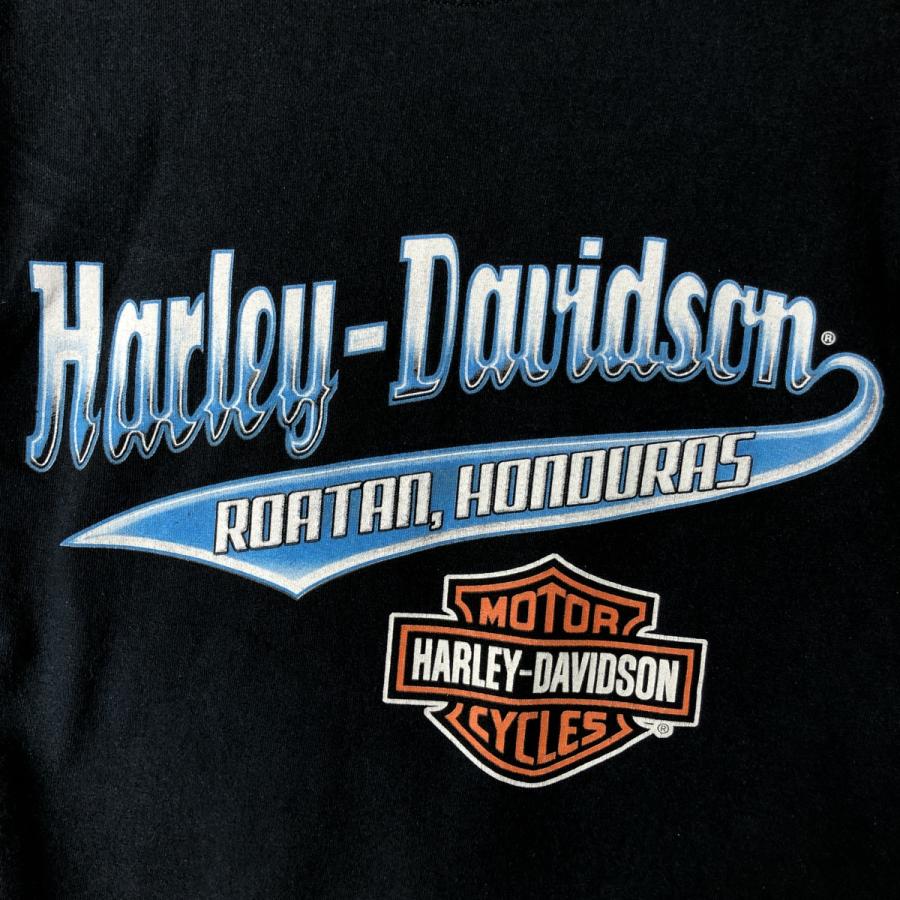古着 ハーレーダビッドソン Harley-Davidson ピンナップガール
