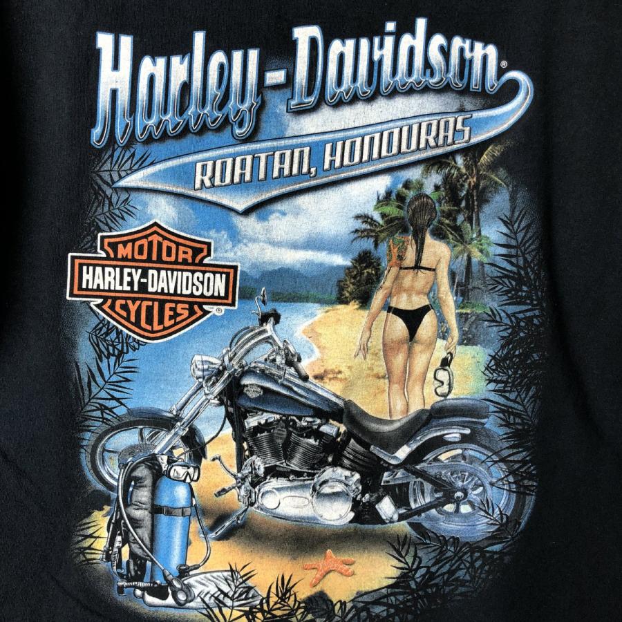 古着 ハーレーダビッドソン Harley-Davidson ピンナップガール