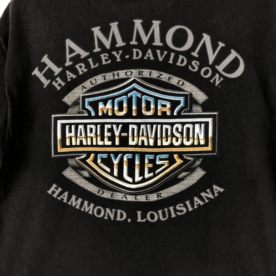 古着 ハーレーダビッドソン Harley-Davidson ドクロ柄 スカル柄 スカル